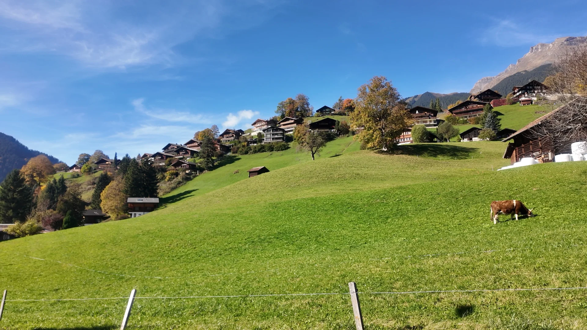 没去热门景点打卡｜wengen&grindelwald