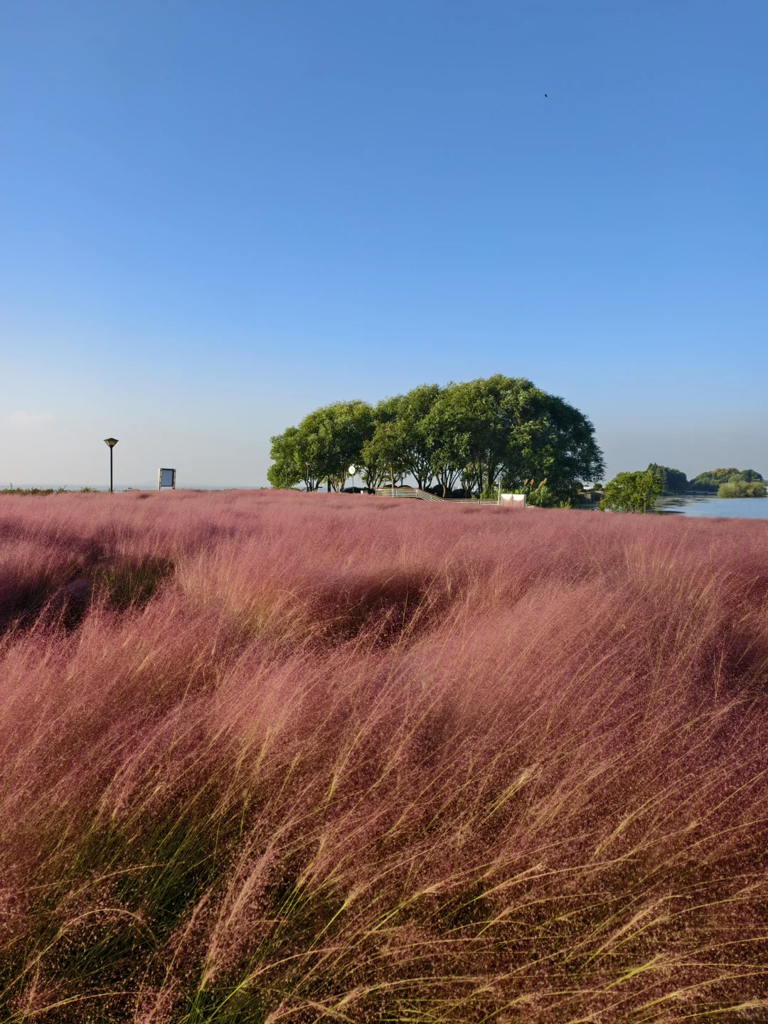 10.11live无锡水韵广场一半湖水一半粉黛