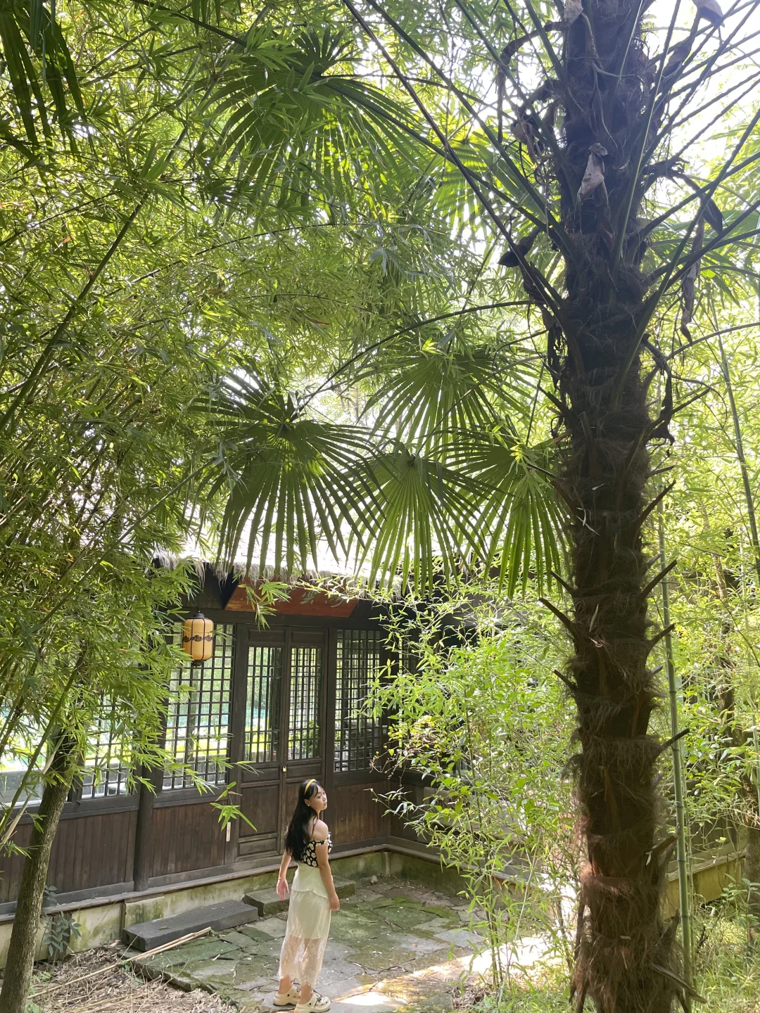 杭州文旅卡景点测评🔥免费景点