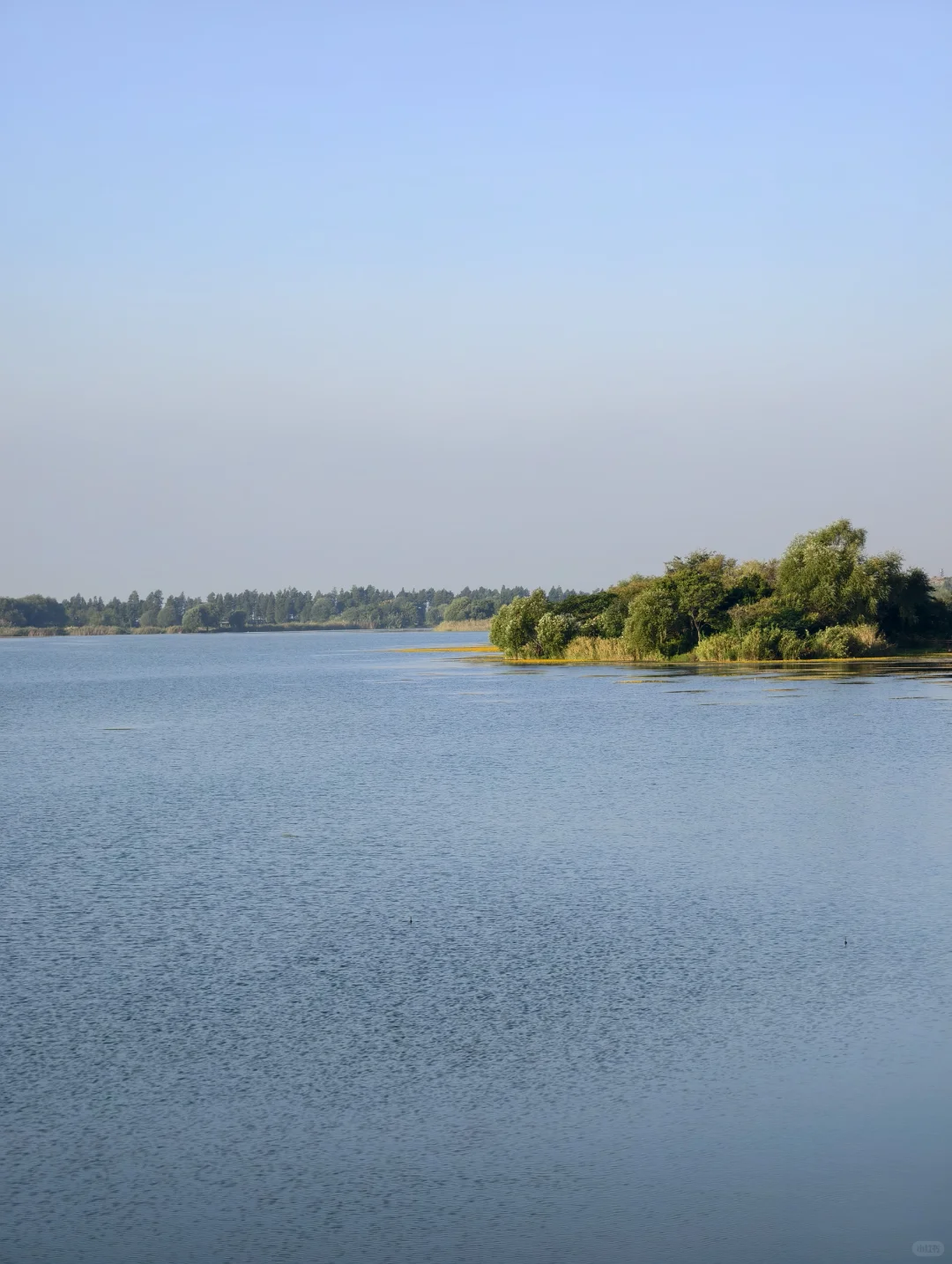 10.11live无锡水韵广场一半湖水一半粉黛