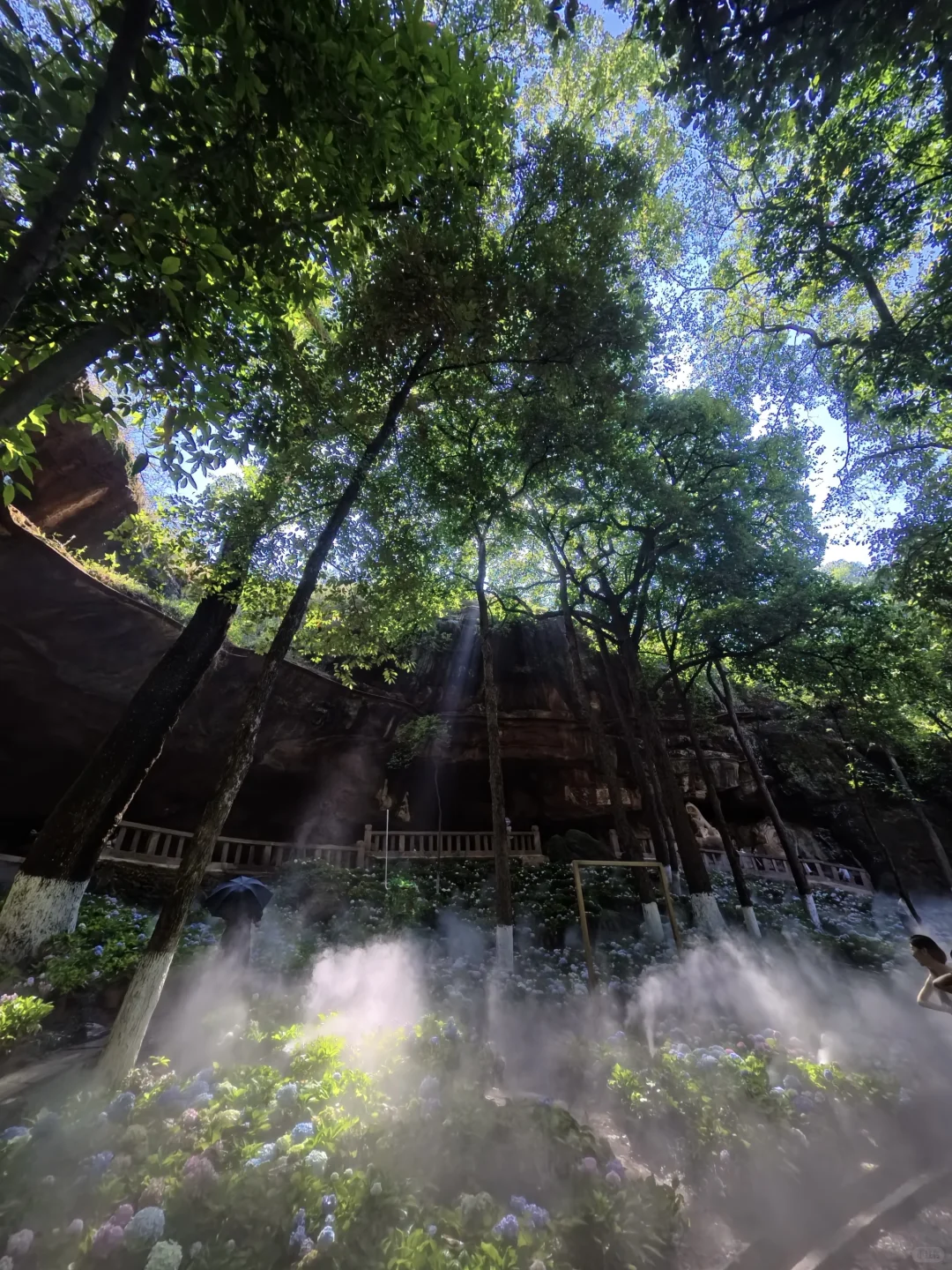 误入莫奈花园且🐕宠物友好景点