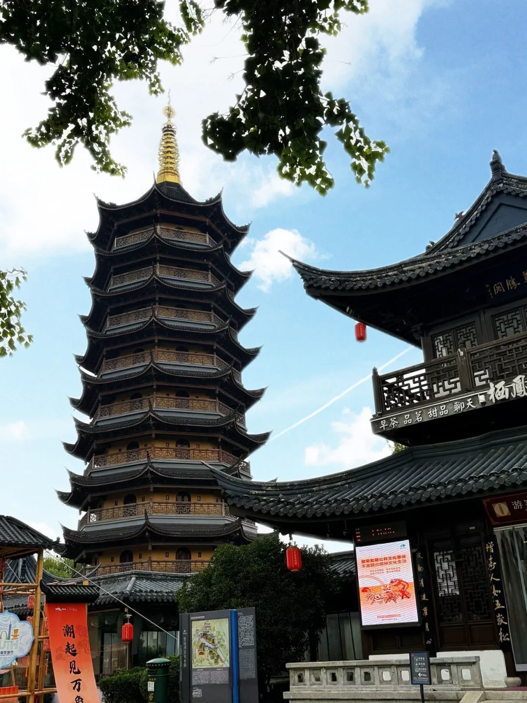 🐾淮安·猫咪天堂，治愈系岛屿🏝️