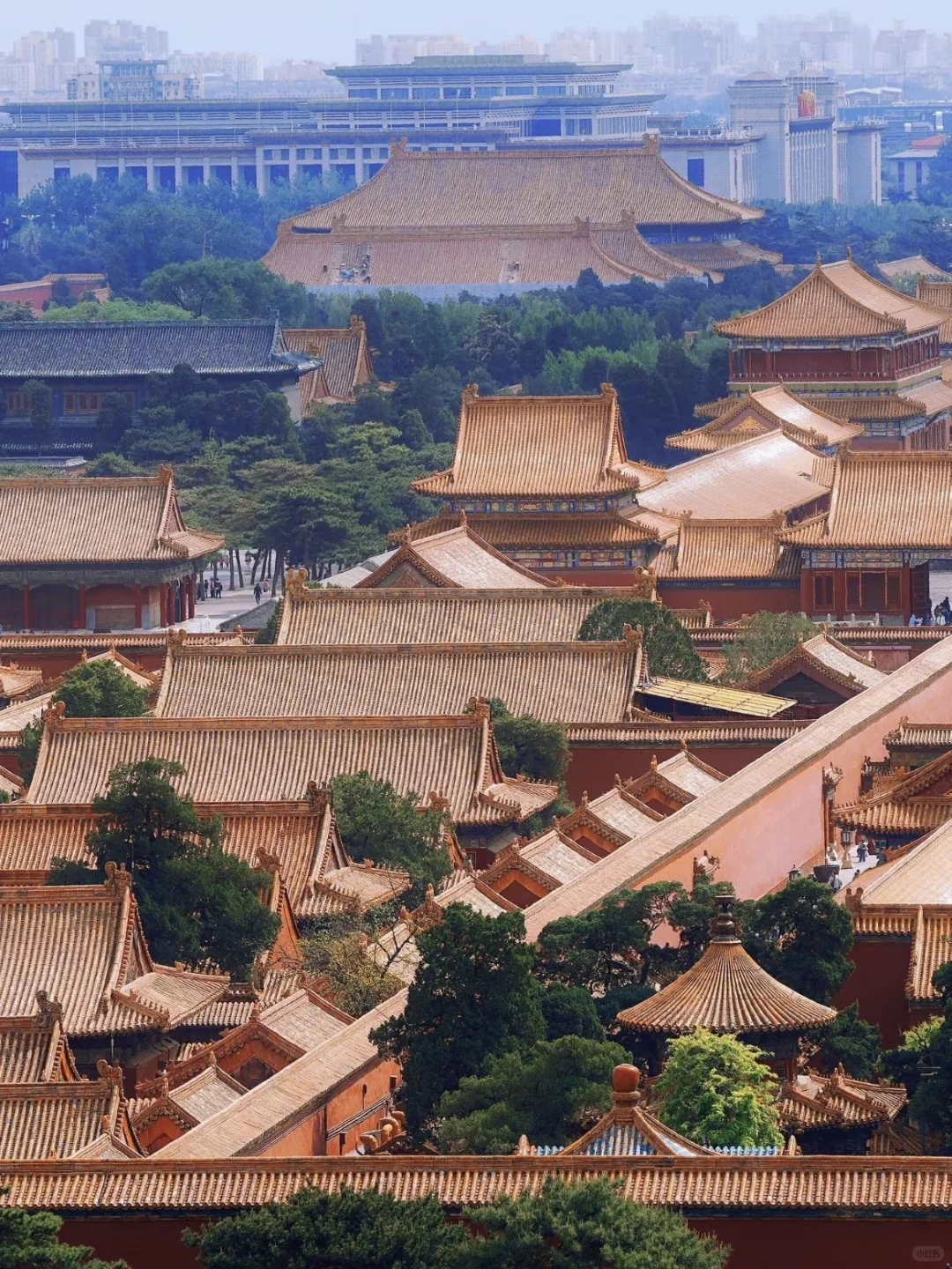 停停停🤚！！！秋天来北京必去景点来了‼️