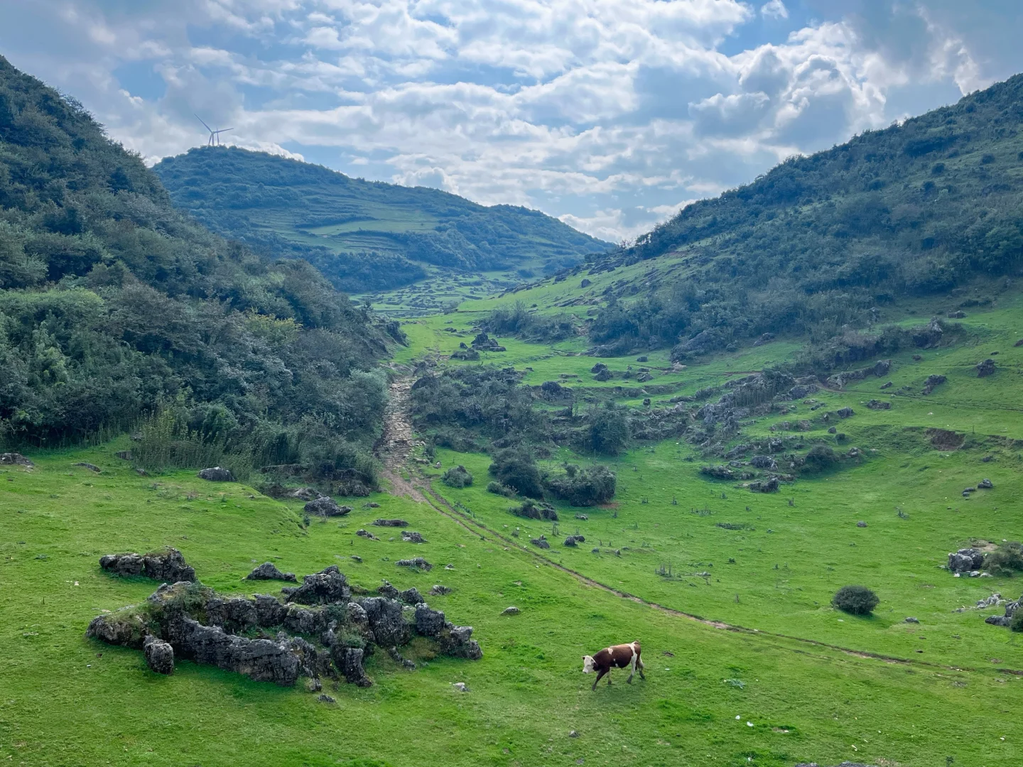 泸州北滨公园太大了吧