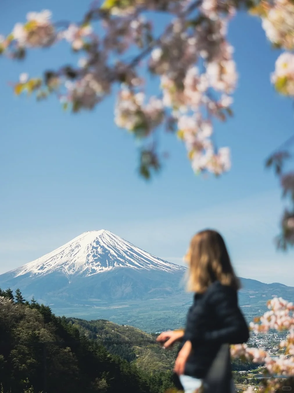 富士山拼团一日游攻略🚗中文司导