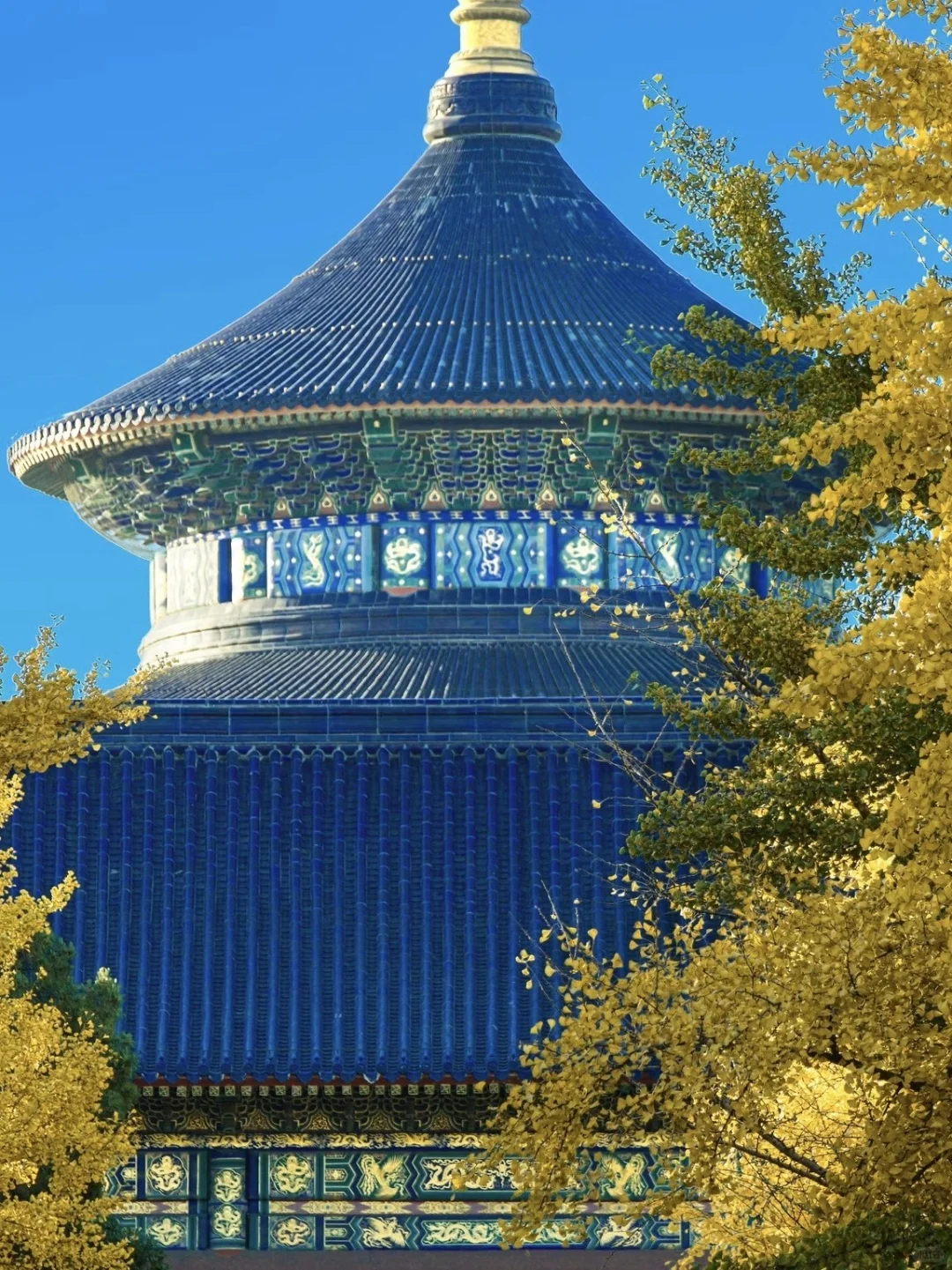 停停停🤚！！！秋天来北京必去景点来了‼️