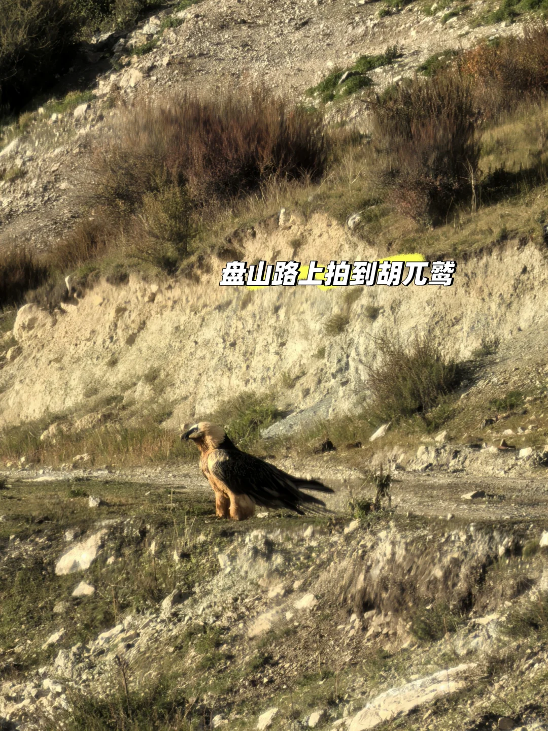 天穹孜珠，海拔4600＋的“云端之城”