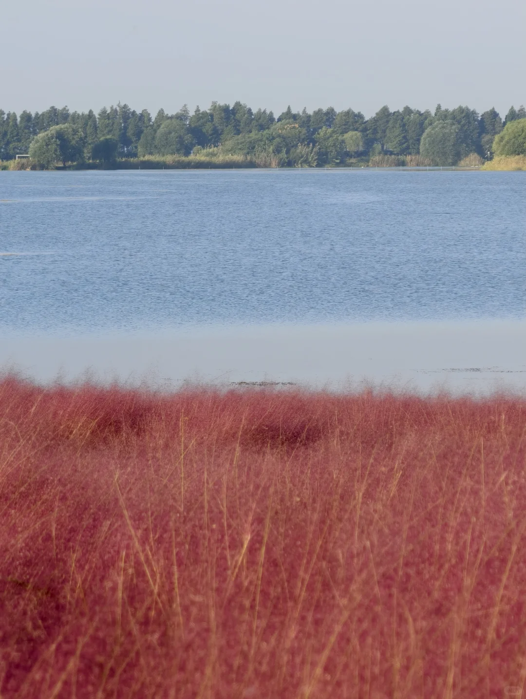 10.11live无锡水韵广场一半湖水一半粉黛