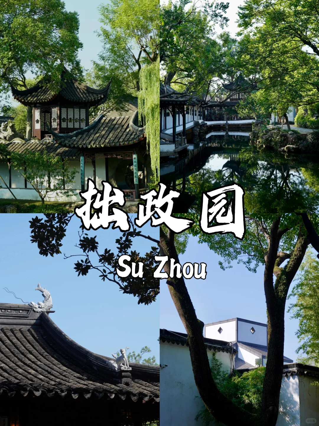 苏州必去9大景点👍出发前一定要看