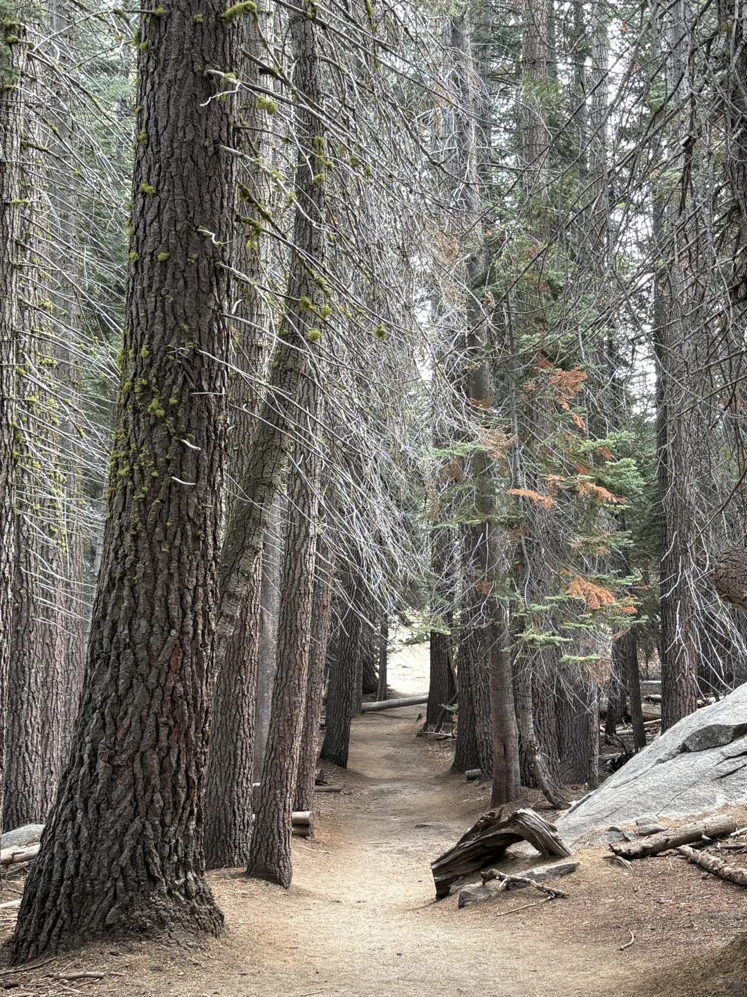 优胜美地Glacier Point旁的景点别错过