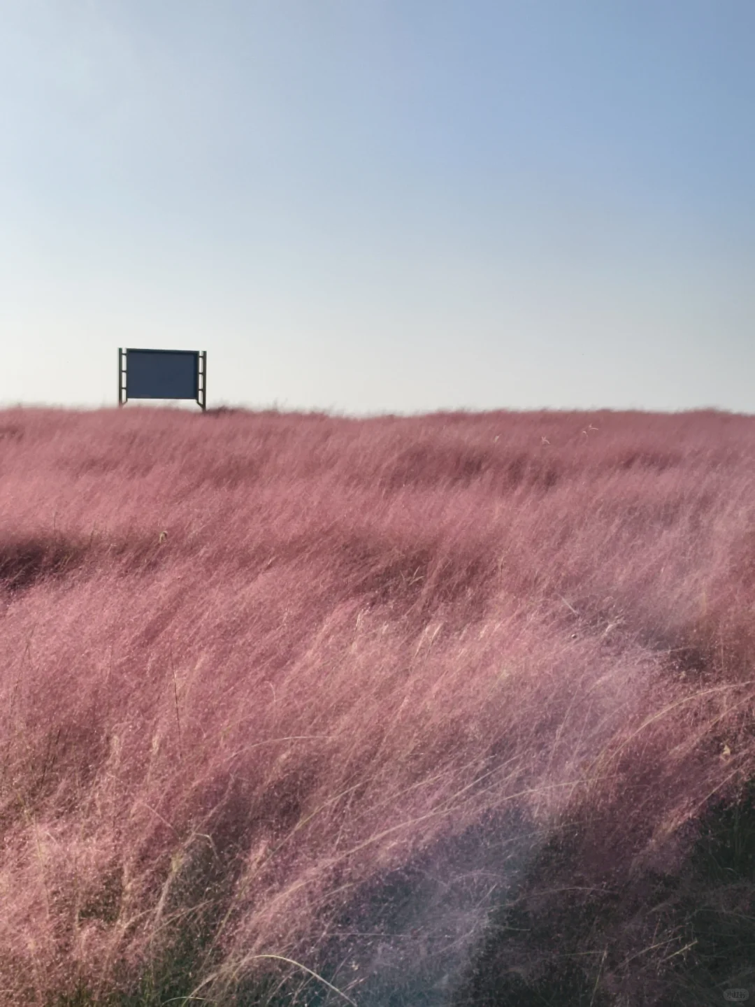 10.11live无锡水韵广场一半湖水一半粉黛