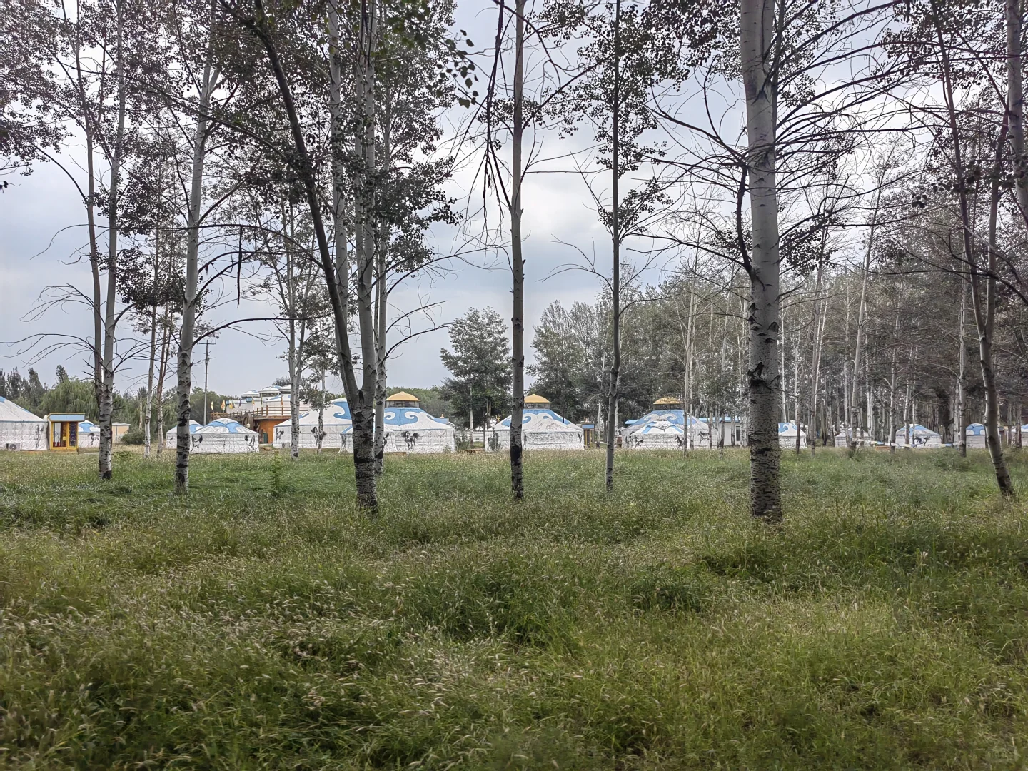 去包头一定不要打卡游