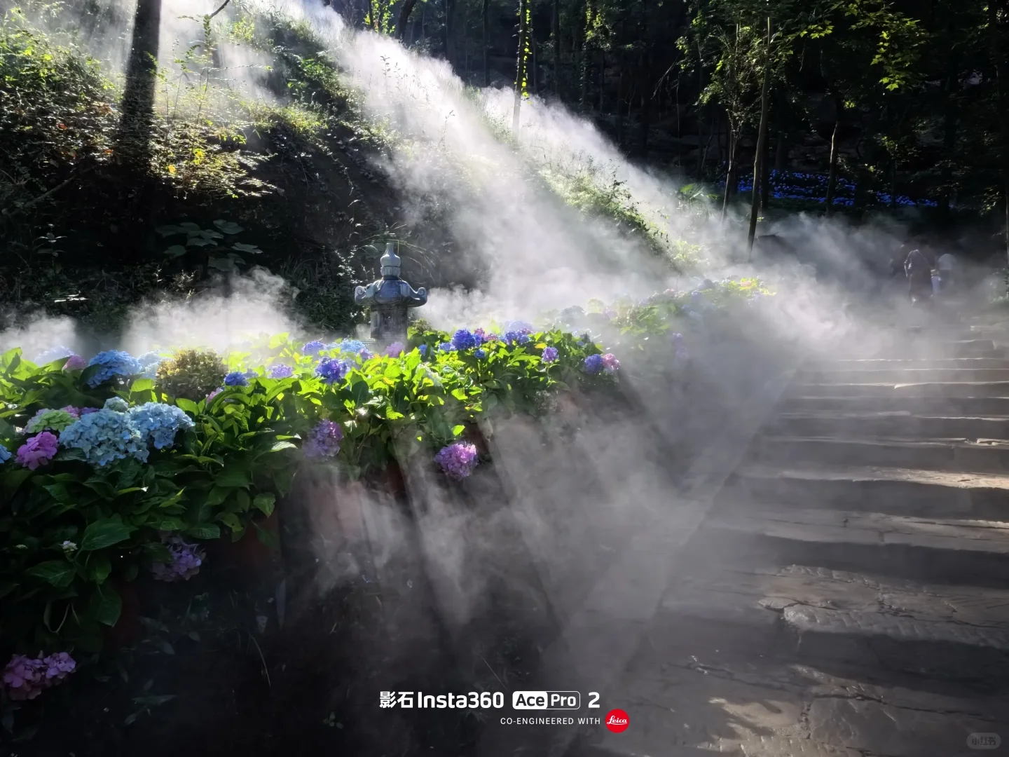 误入莫奈花园且🐕宠物友好景点