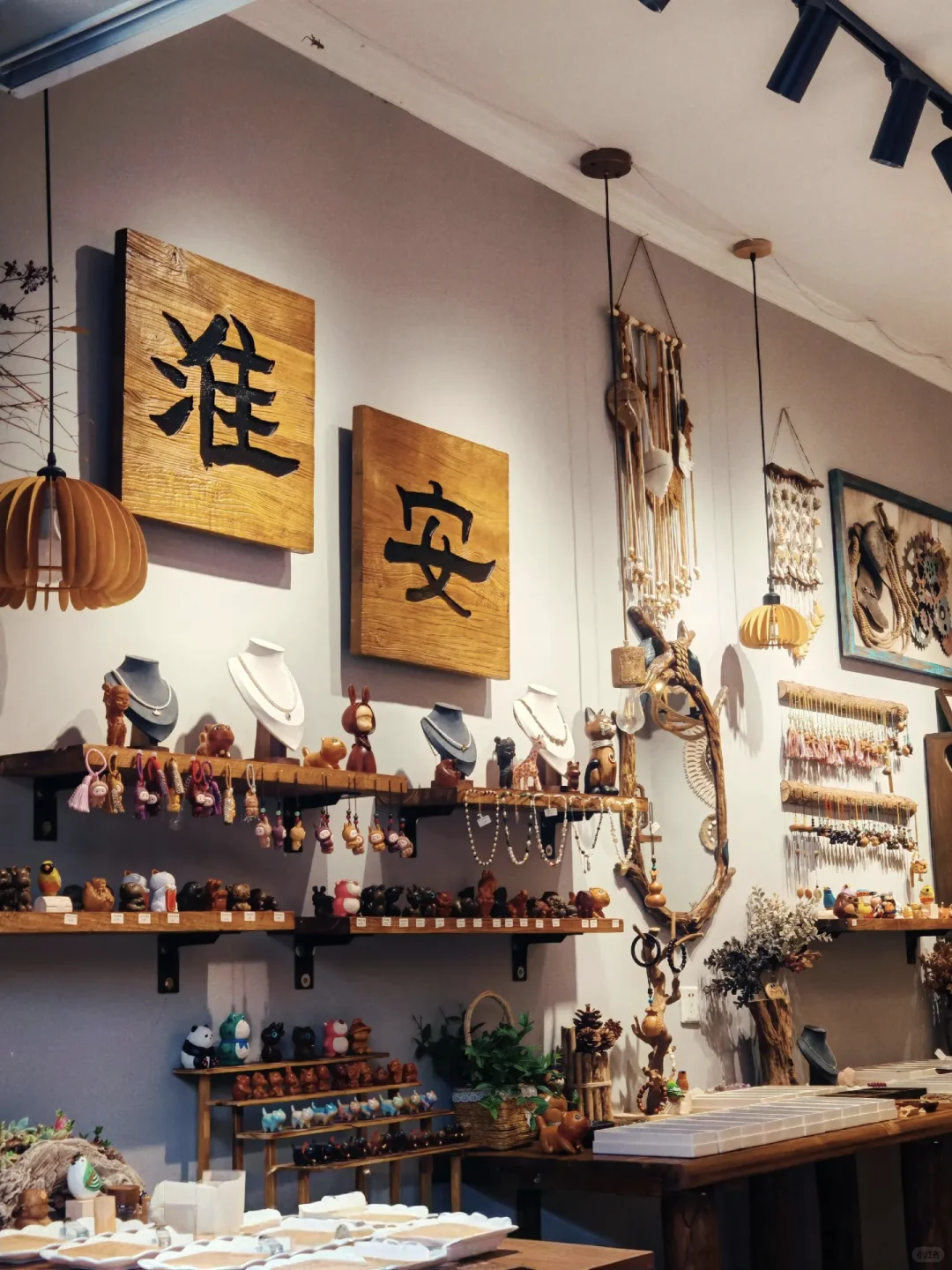 🐾淮安·猫咪天堂，治愈系岛屿🏝️