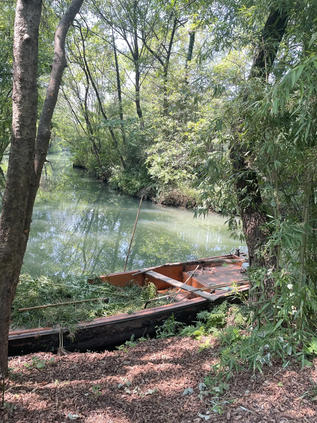 杭州文旅卡景点测评🔥免费景点