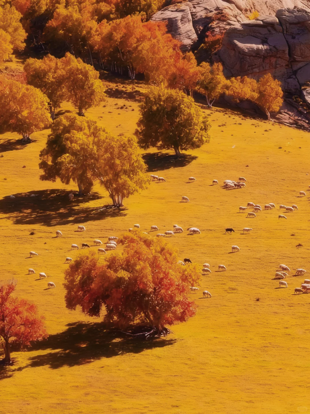 人生建议：9-10月🍁把档期留给大青山！