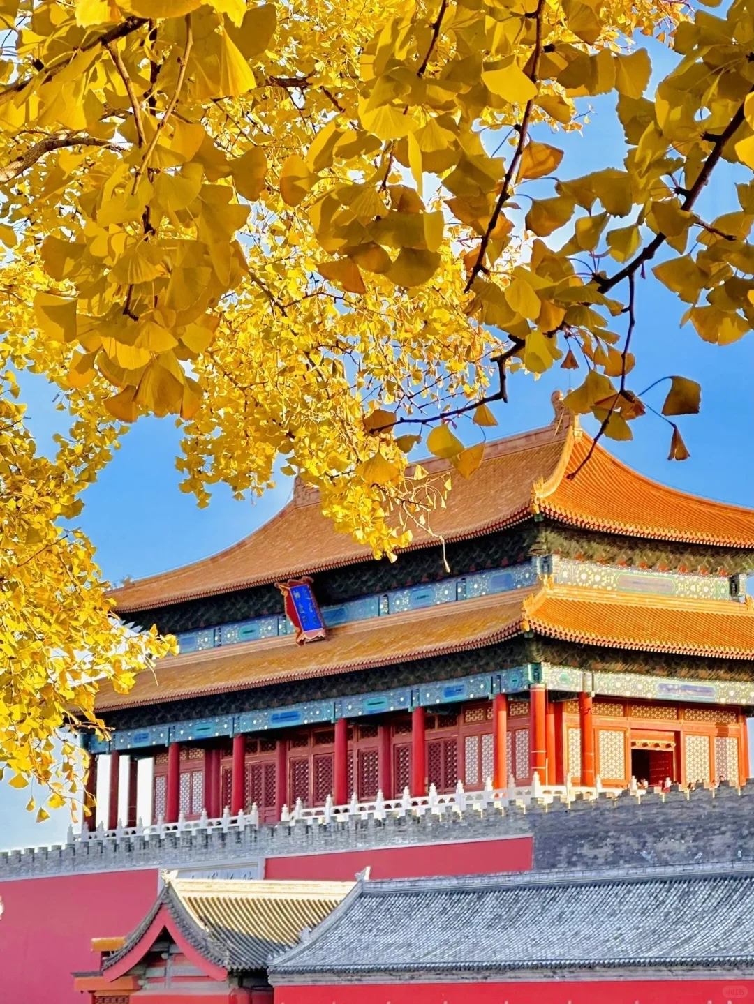 停停停🤚！！！秋天来北京必去景点来了‼️