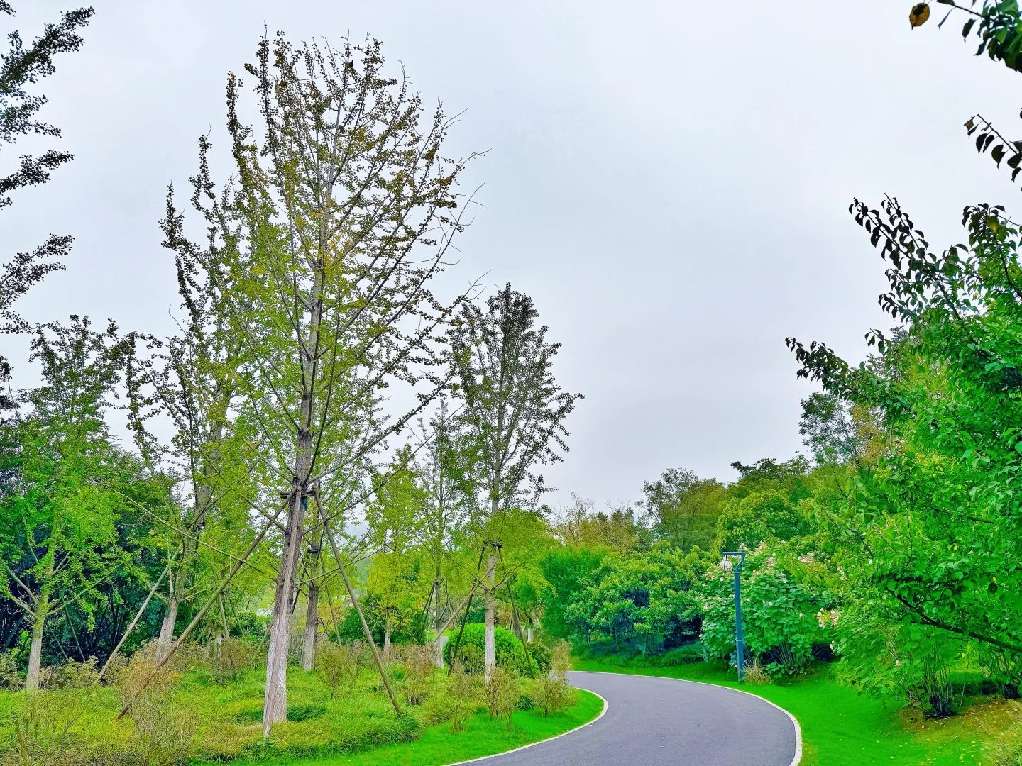 发现一个藏在公园里的亭子～骆岗公园安徽园