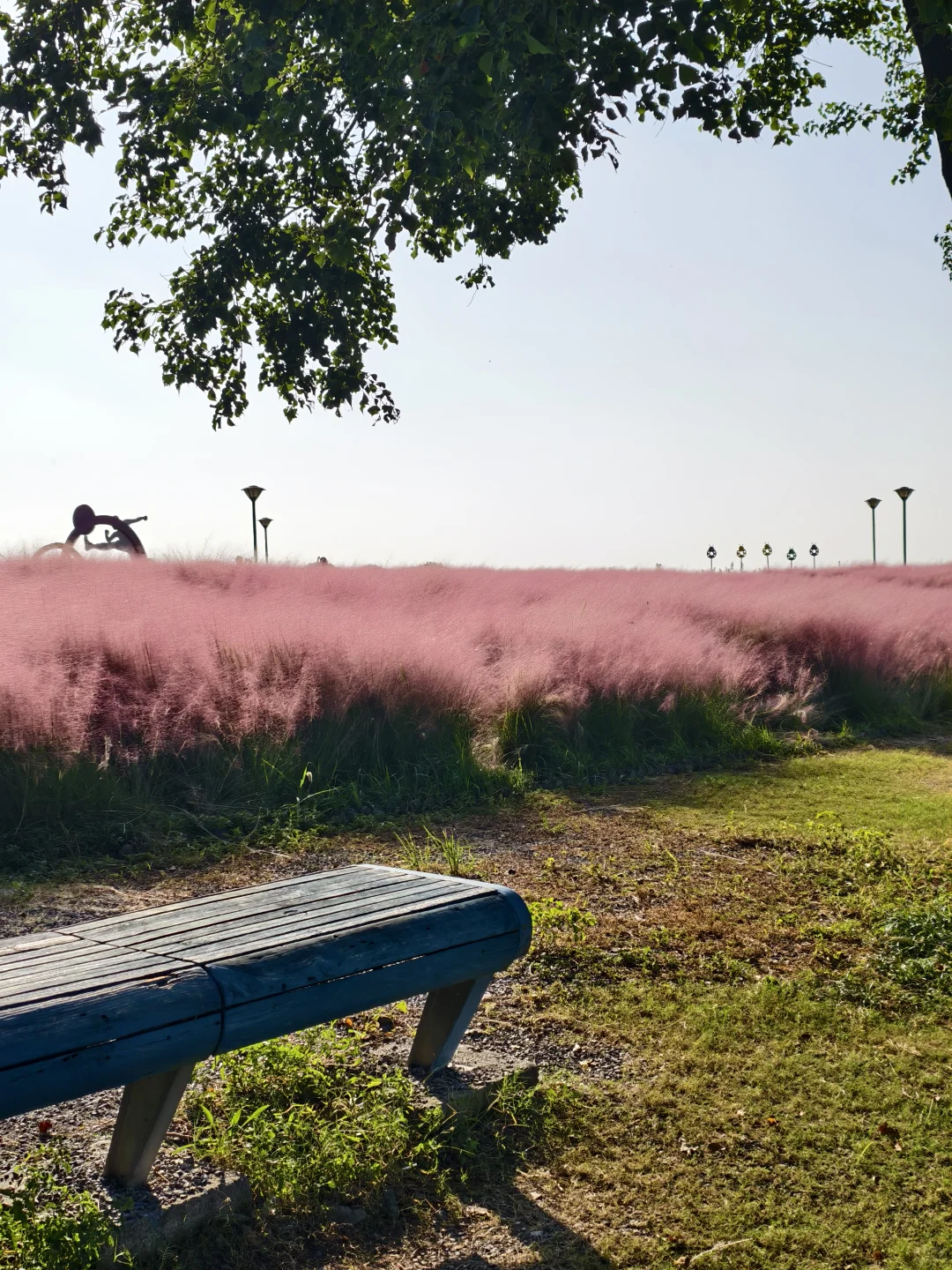 10.11live无锡水韵广场一半湖水一半粉黛