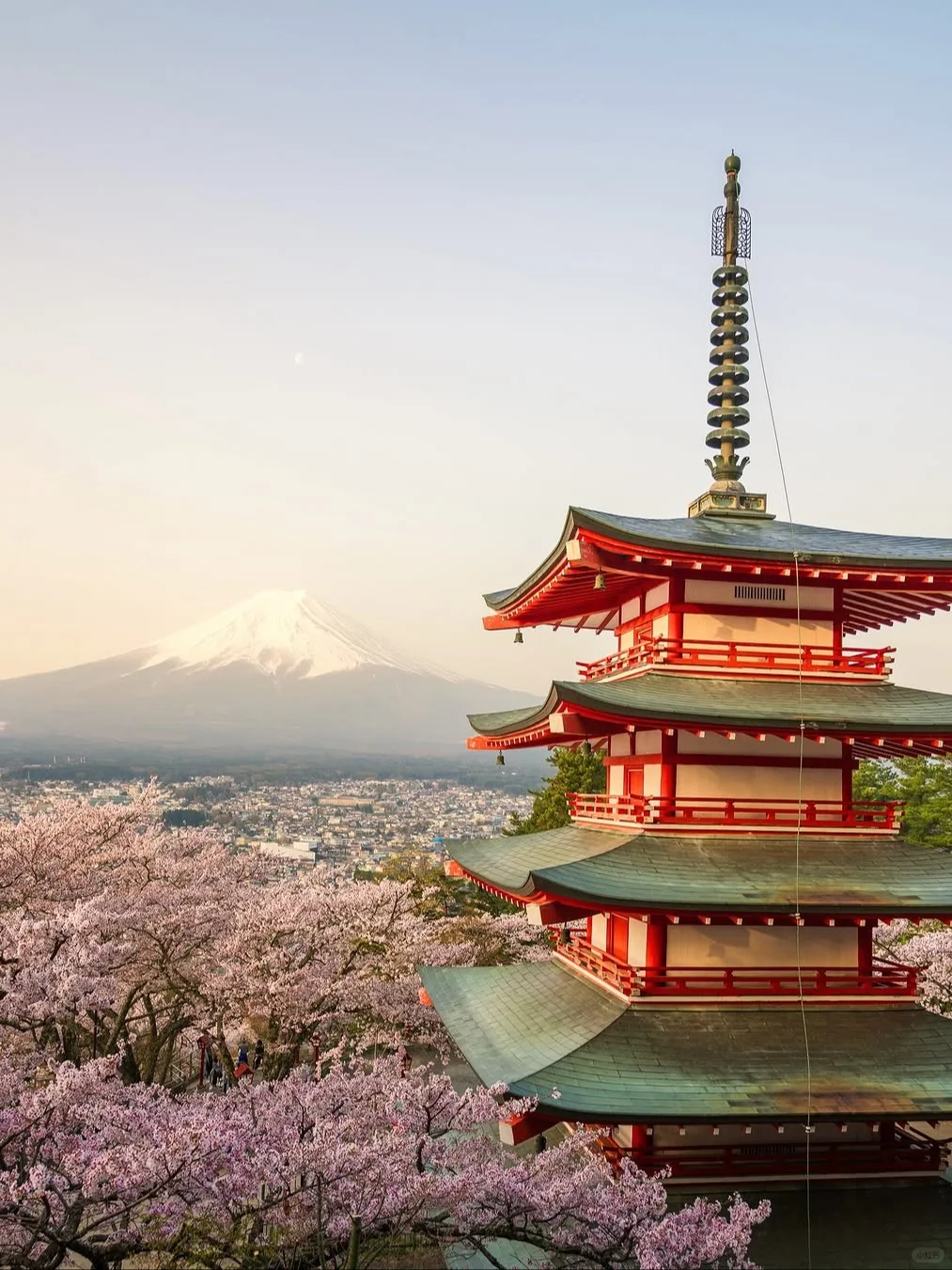 富士山拼团一日游攻略🚗中文司导