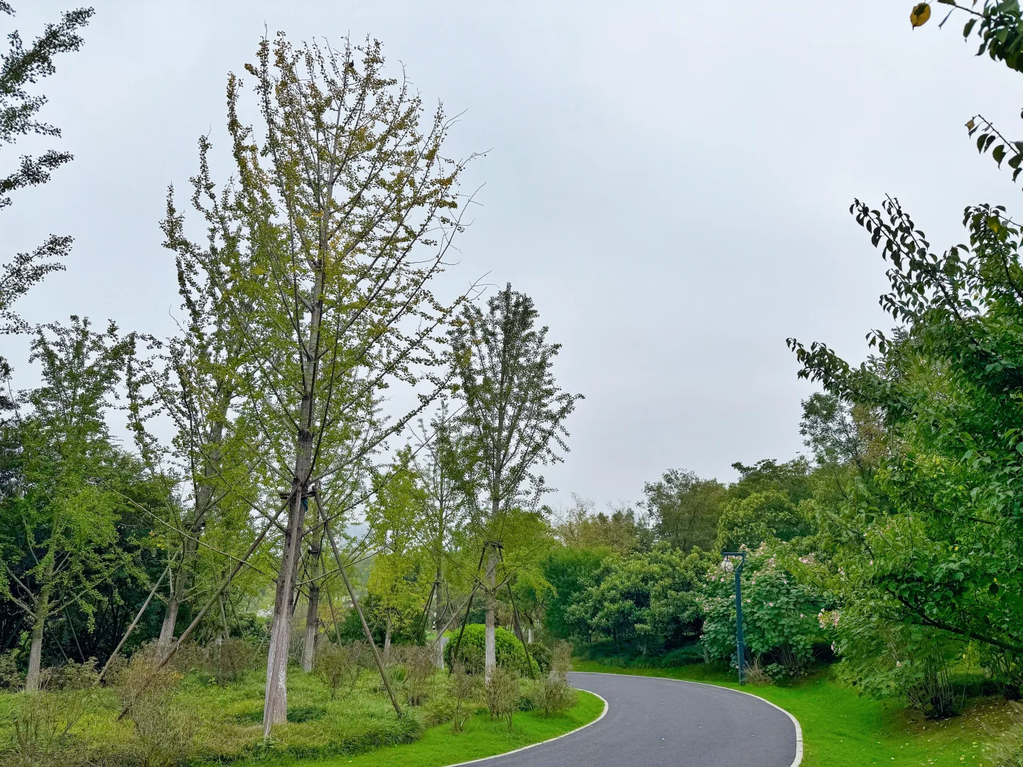 发现一个藏在公园里的亭子～骆岗公园安徽园