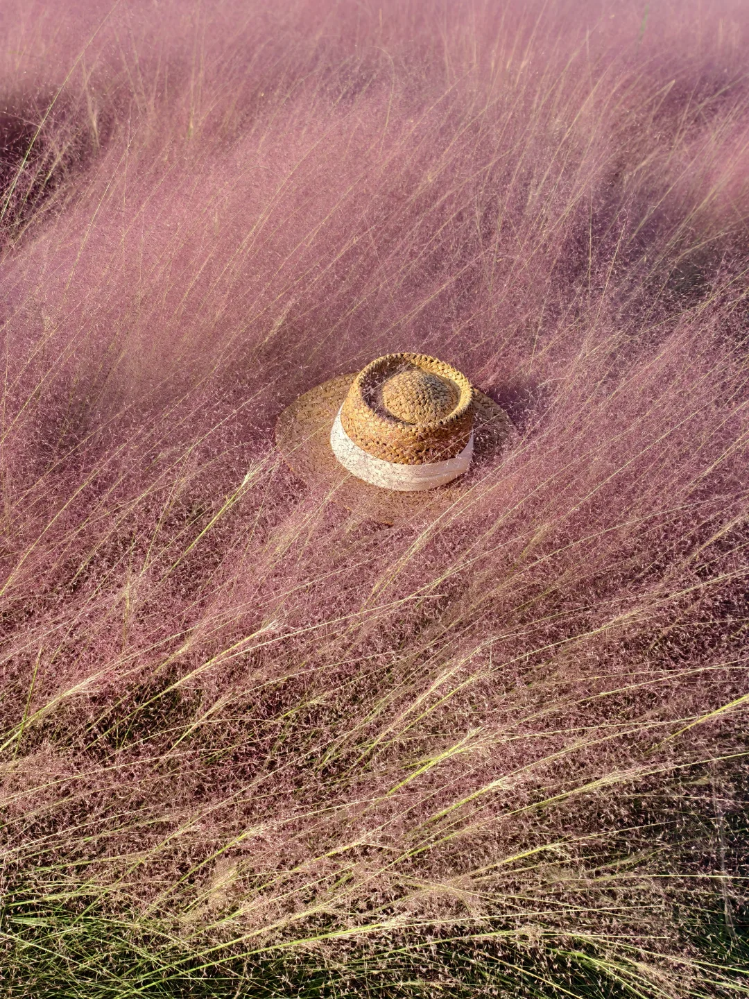 10.11live无锡水韵广场一半湖水一半粉黛