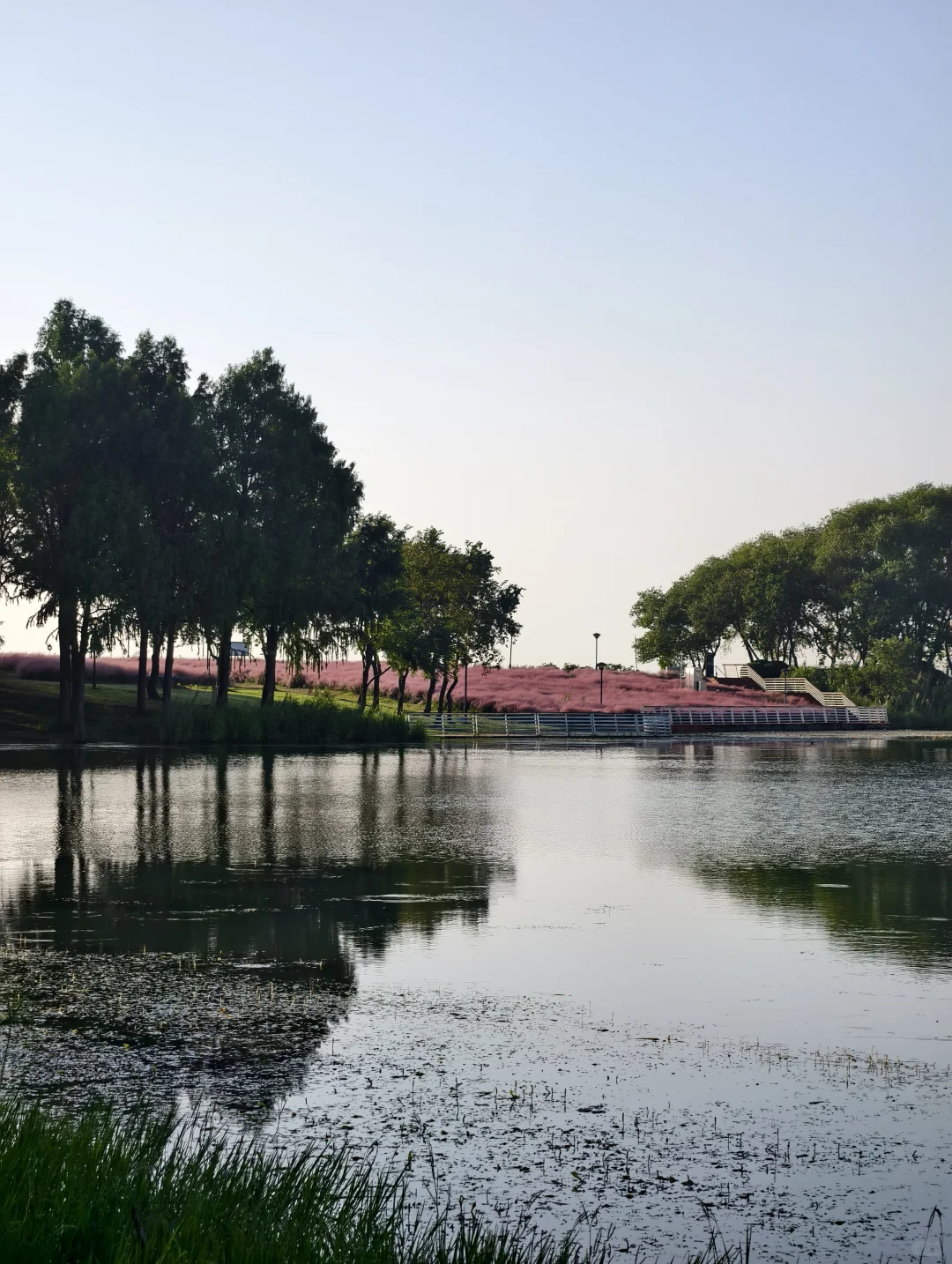 10.11live无锡水韵广场一半湖水一半粉黛