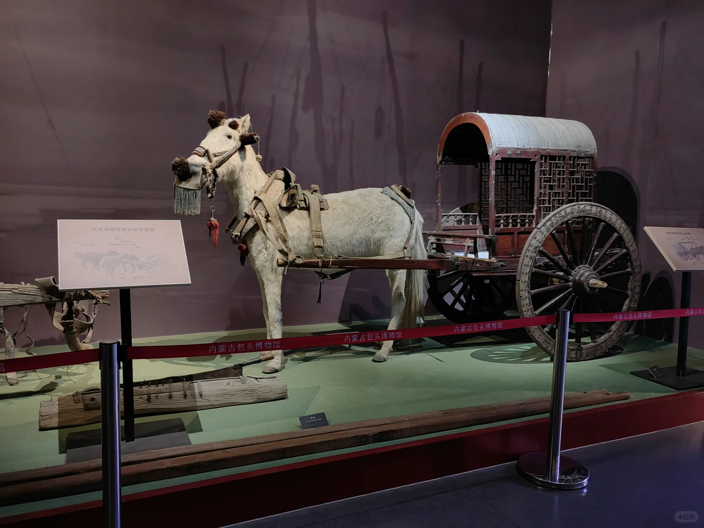 去包头一定不要打卡游