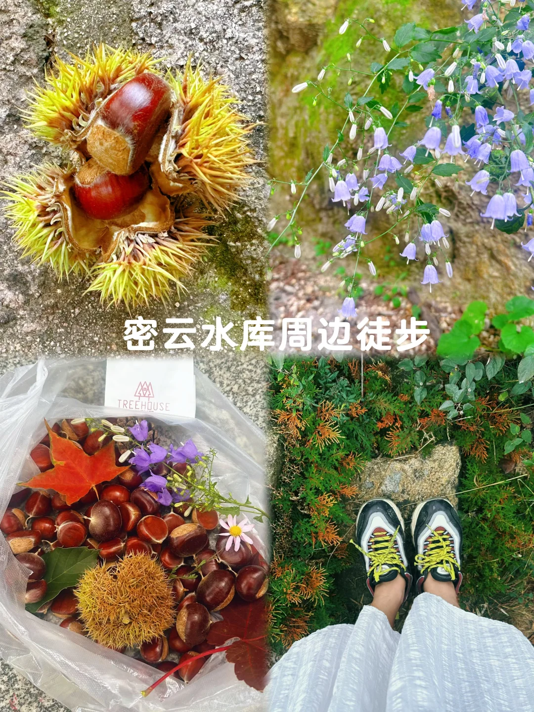 北京秋天周末可以玩的15个人少景美地方