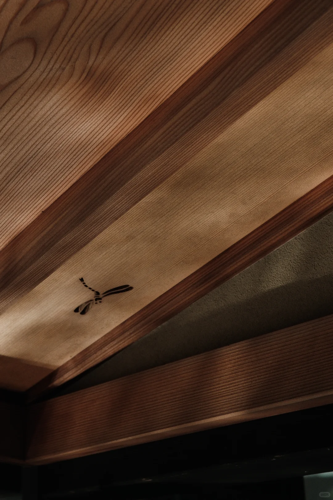 审美被国家级极致克制上了一课