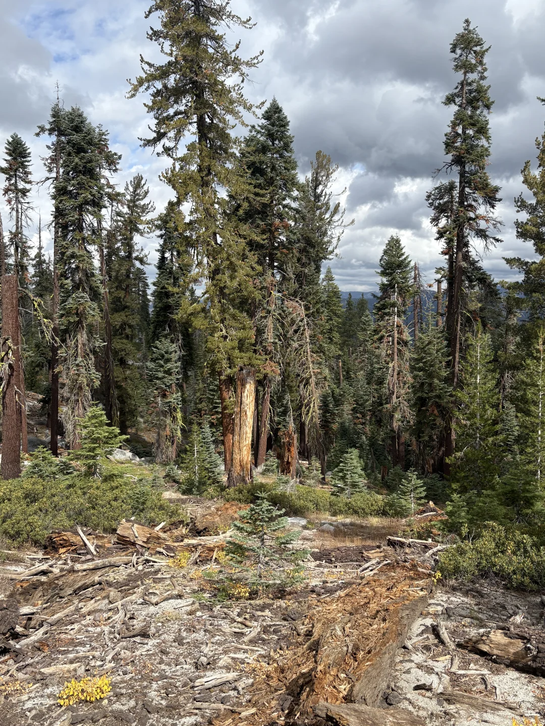 优胜美地Glacier Point旁的景点别错过