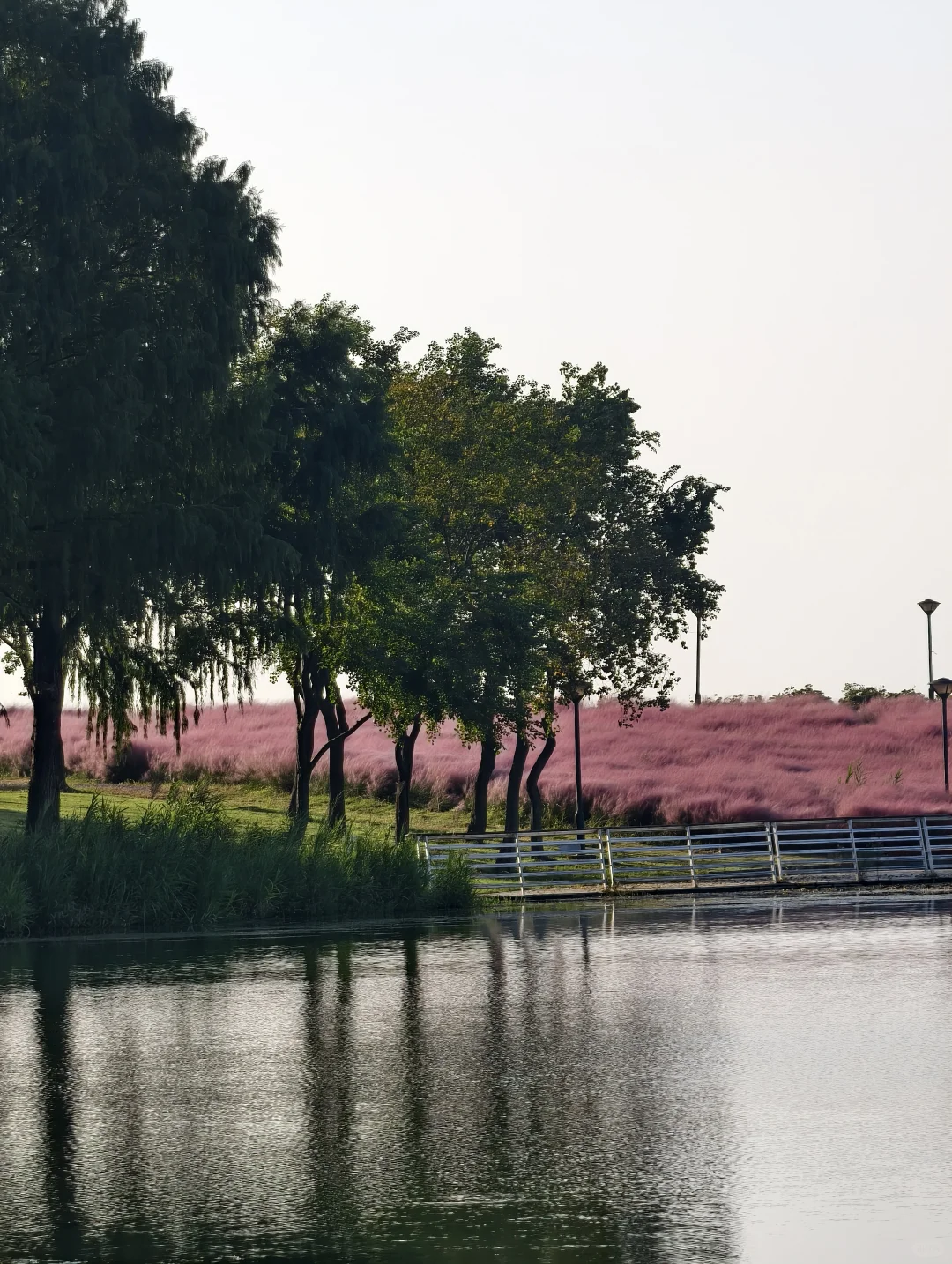 10.11live无锡水韵广场一半湖水一半粉黛