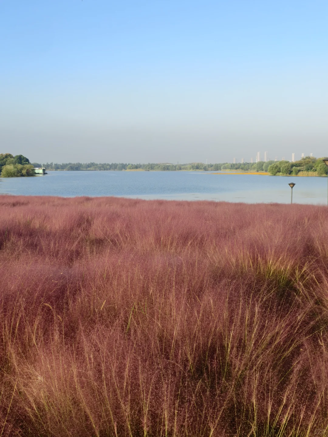 10.11live无锡水韵广场一半湖水一半粉黛