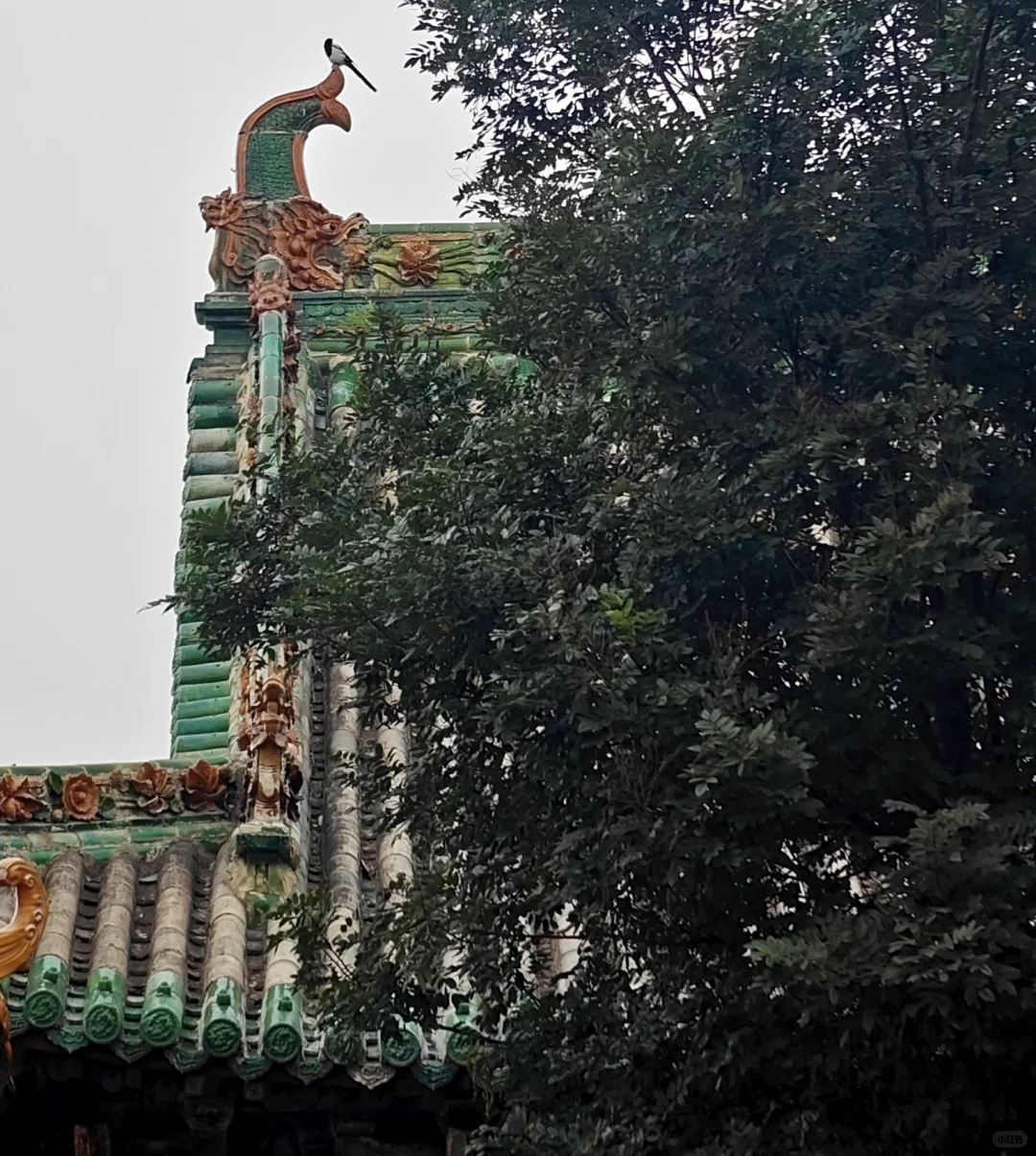 山西山西，你到底有多少宝藏