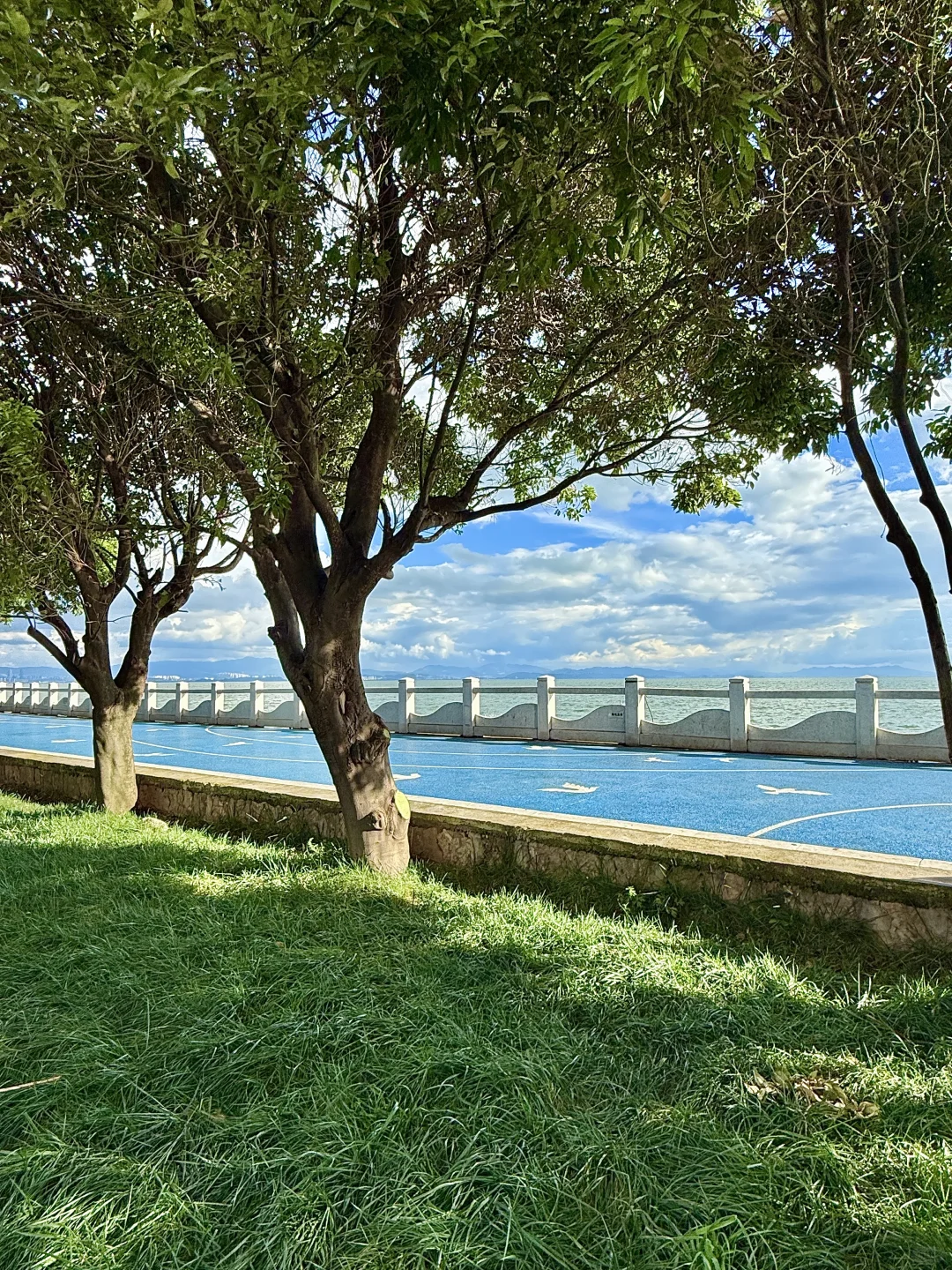 昆明citywalk 少数本地人才知道通往海的路