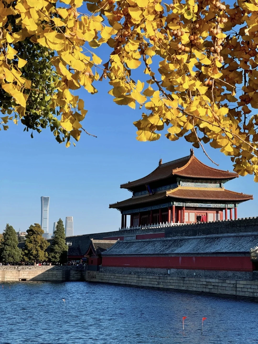 停停停🤚！！！秋天来北京必去景点来了‼️