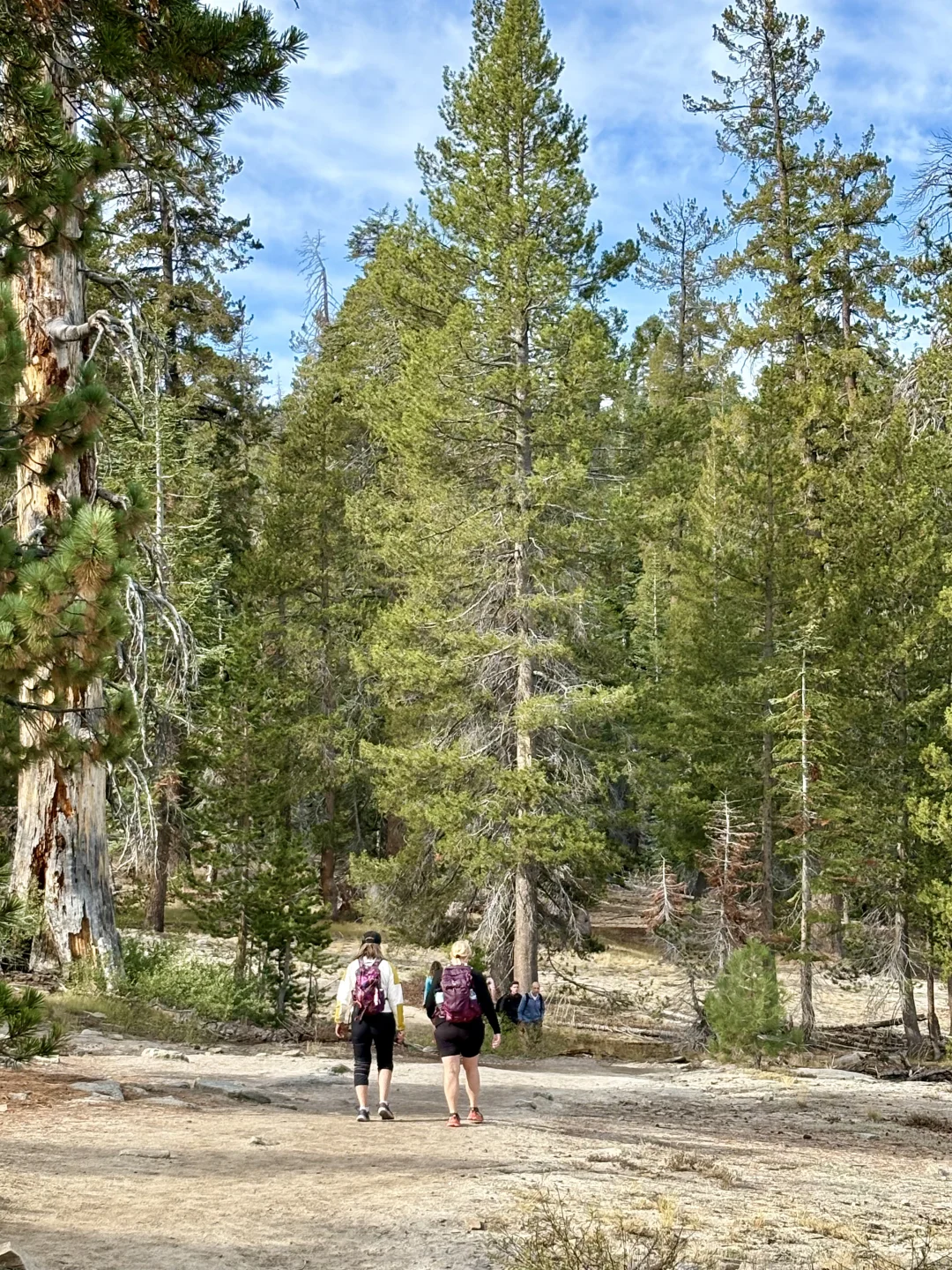 优胜美地Glacier Point旁的景点别错过