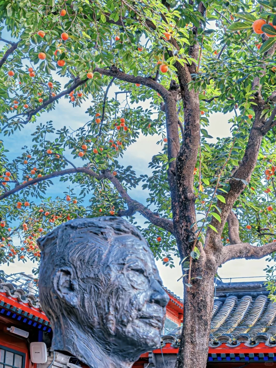 停停停🤚！！！秋天来北京必去景点来了‼️