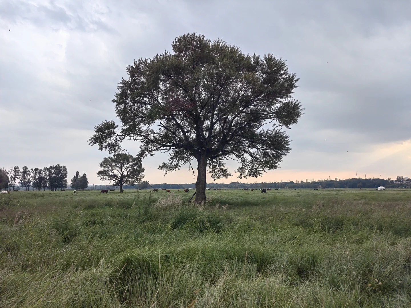去包头一定不要打卡游