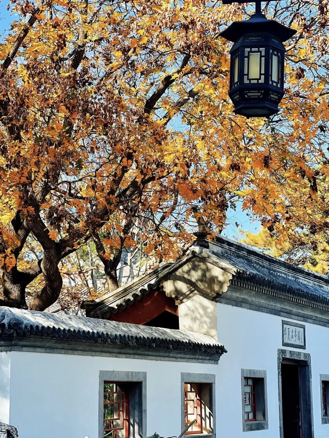 停停停🤚！！！秋天来北京必去景点来了‼️