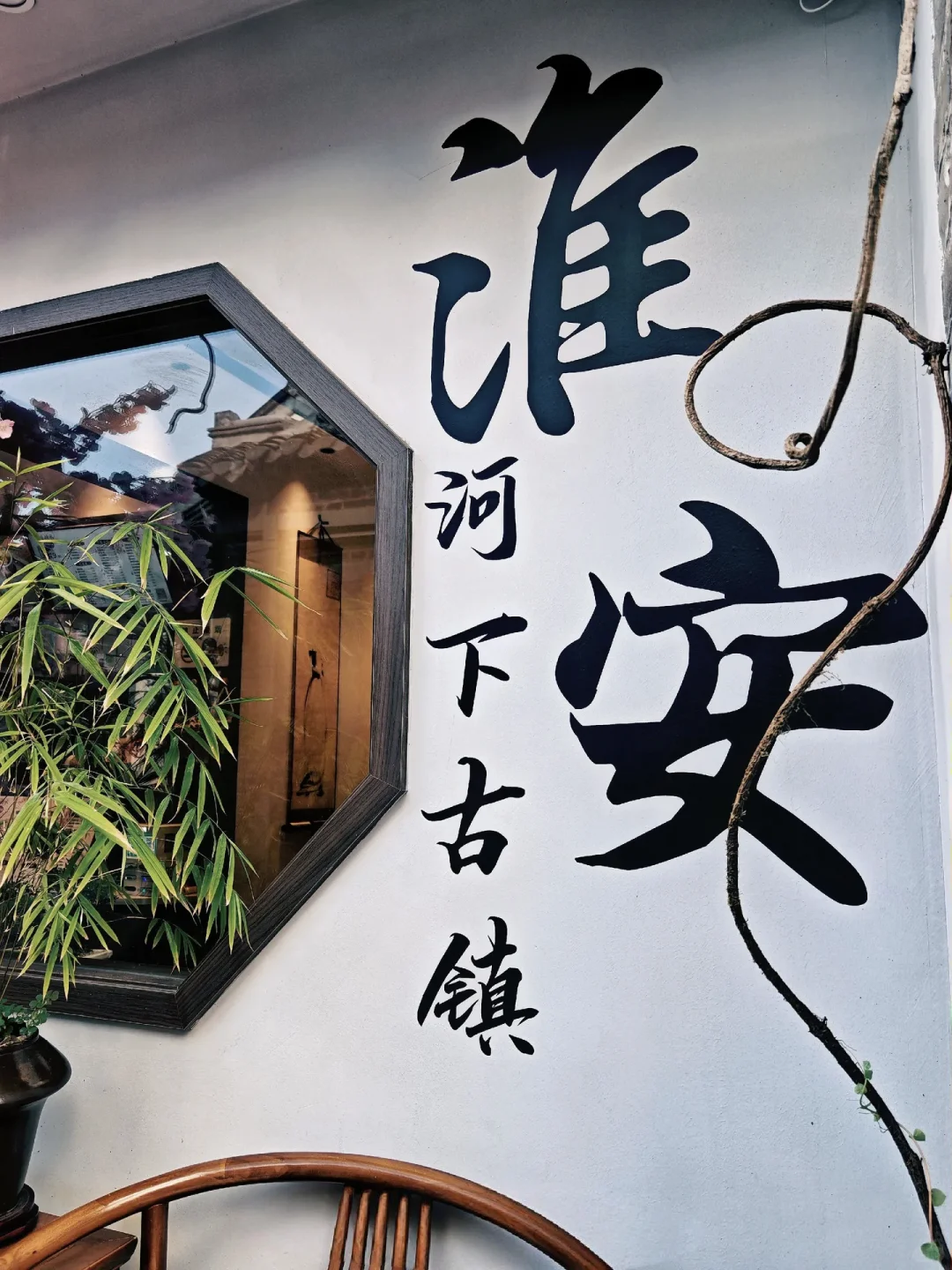 🐾淮安·猫咪天堂，治愈系岛屿🏝️