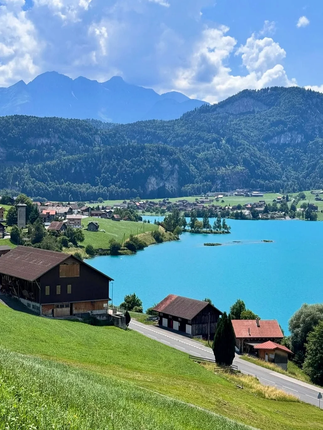 法意瑞跟团已回（已被宰），内容很脏但真实