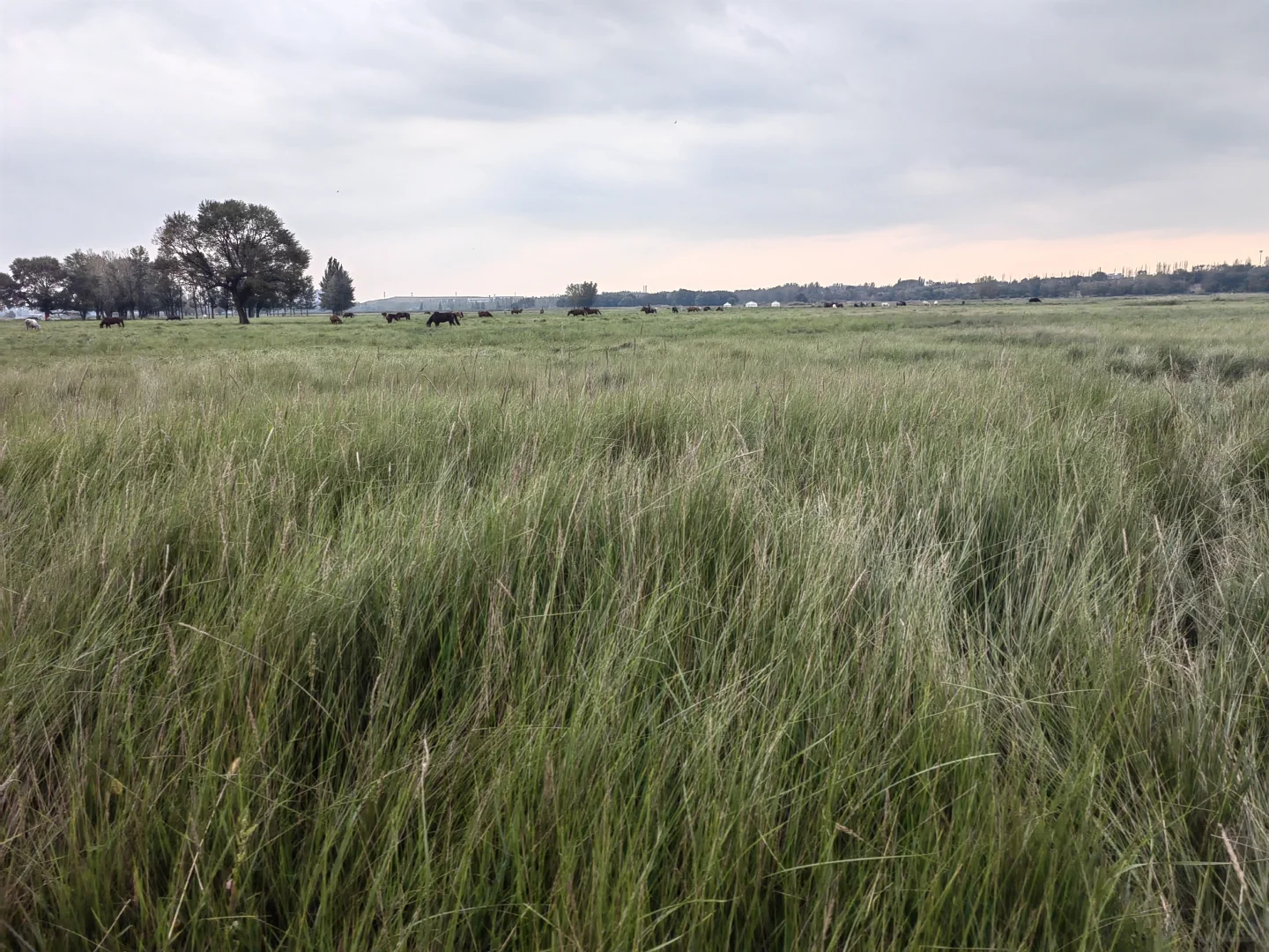 去包头一定不要打卡游