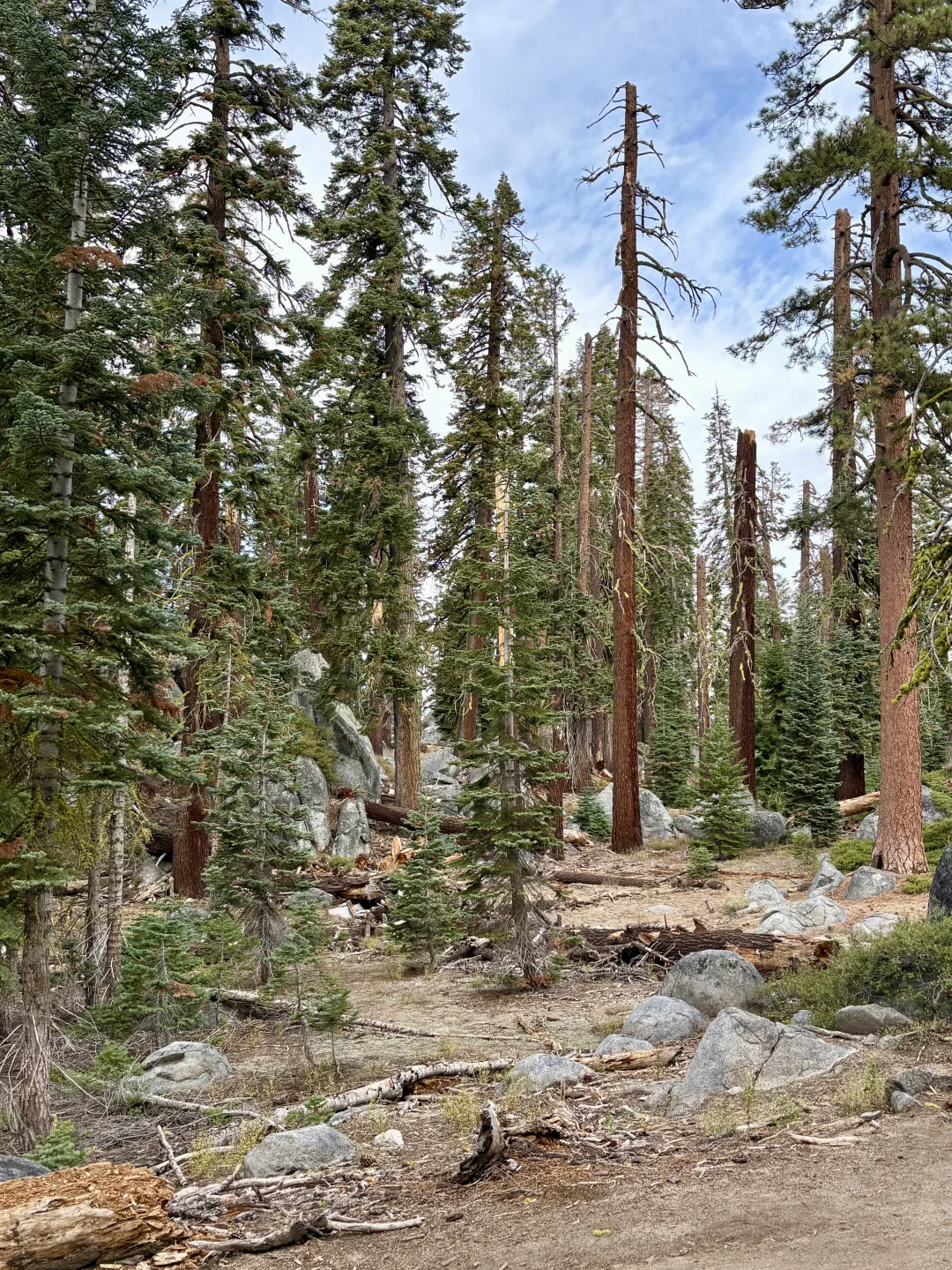 优胜美地Glacier Point旁的景点别错过