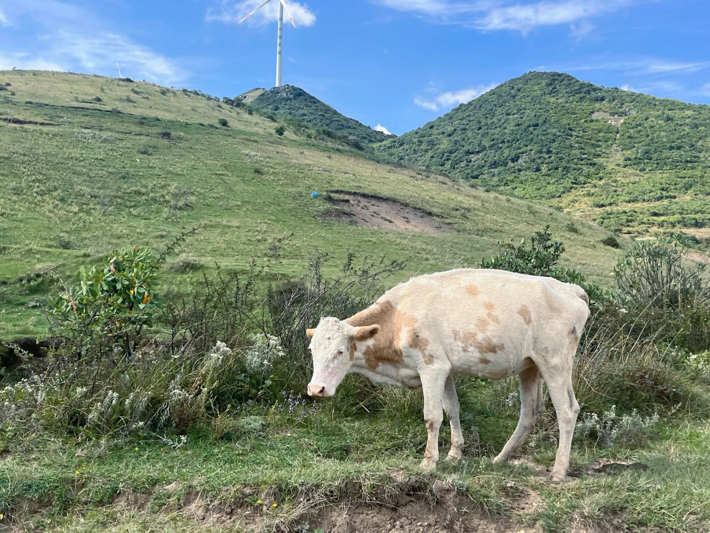 泸州北滨公园太大了吧