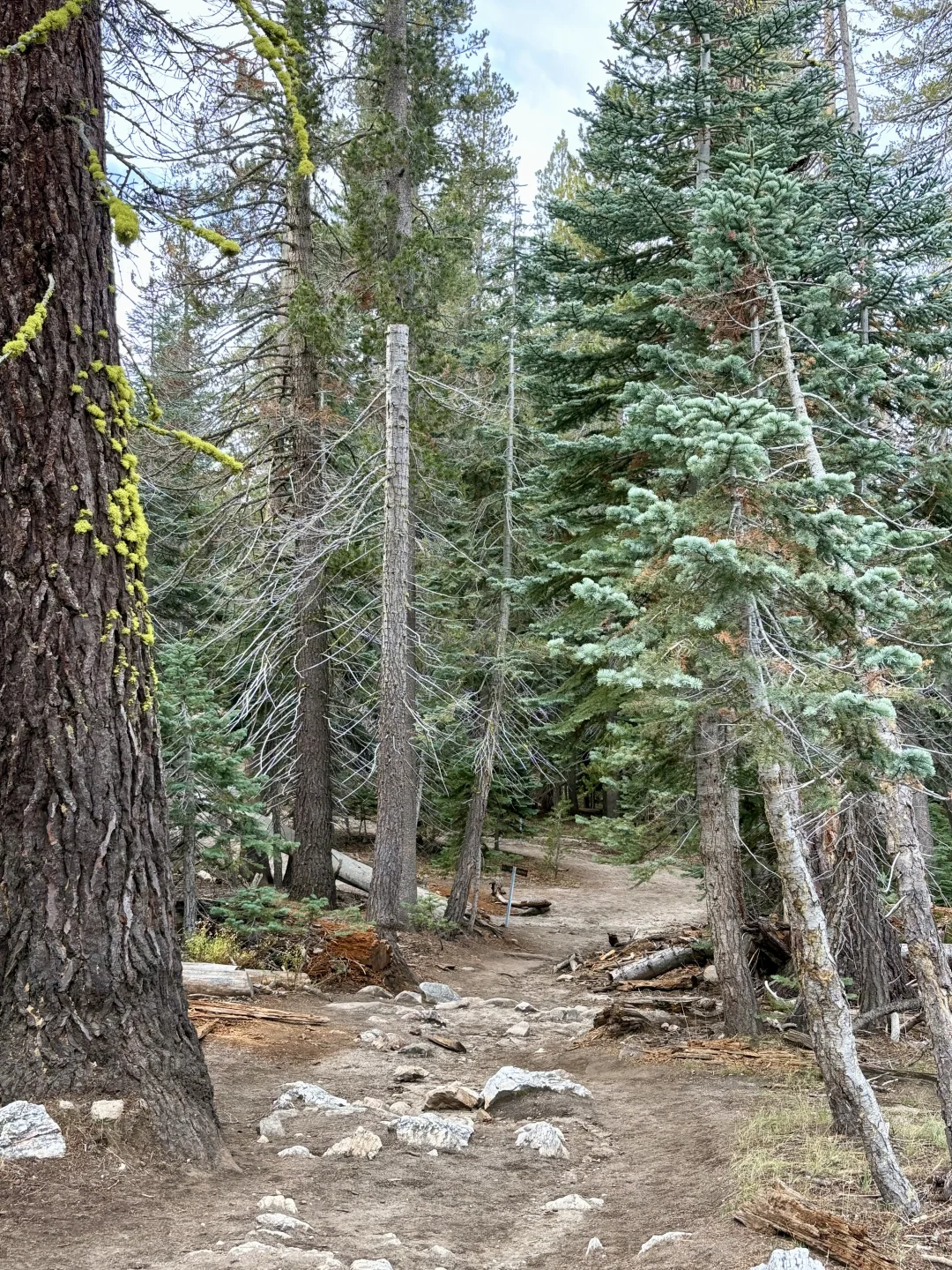 优胜美地Glacier Point旁的景点别错过