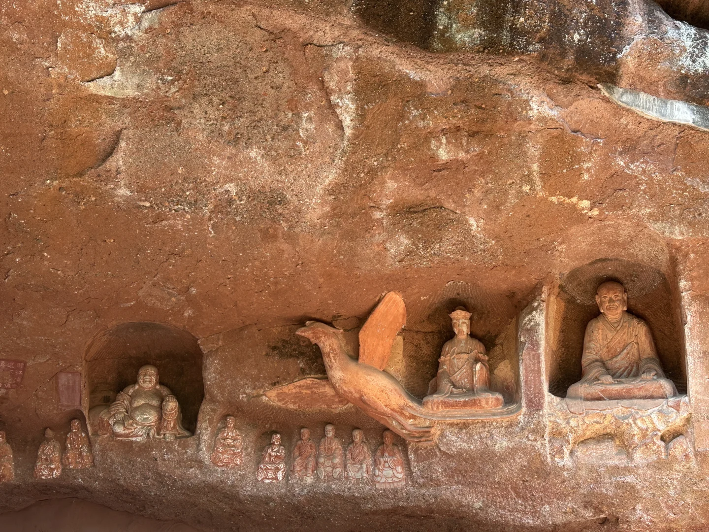 误入莫奈花园且🐕宠物友好景点