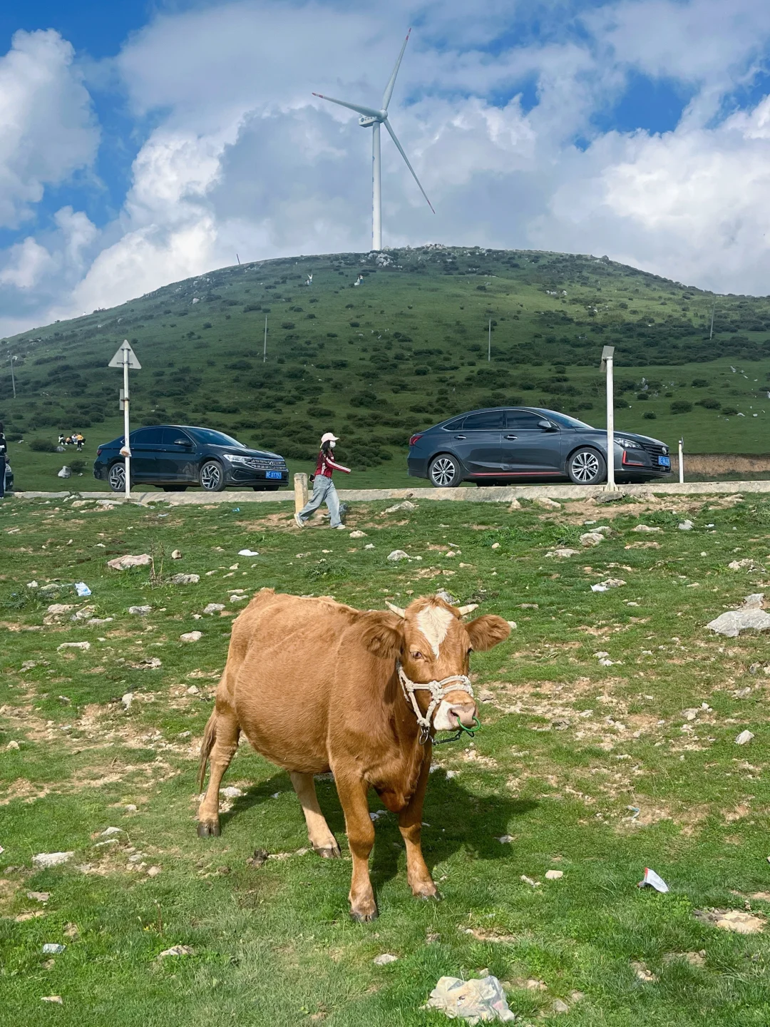 泸州北滨公园太大了吧