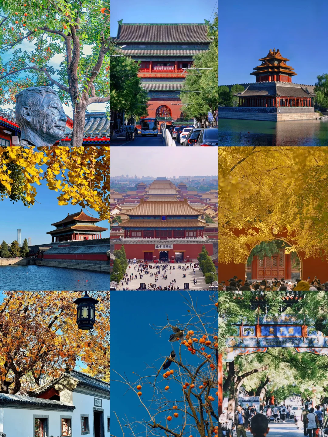 停停停🤚！！！秋天来北京必去景点来了‼️
