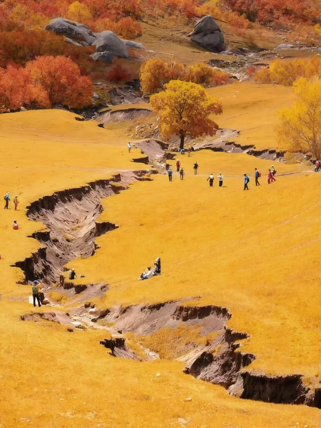 人生建议：9-10月🍁把档期留给大青山！
